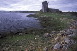 Dongory Castle (Dunguaire Castle)