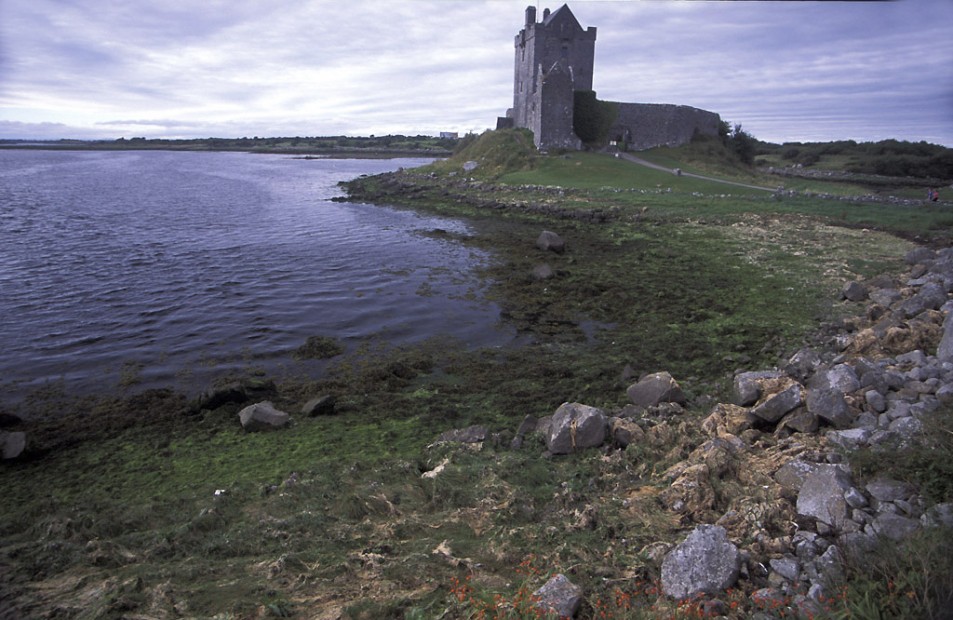 Dongory Castle (Dunguaire Castle)