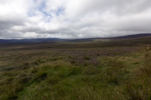 Wicklow Mountains NP II