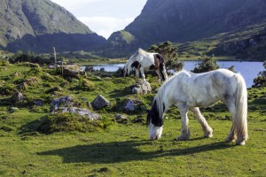 MacGillycuddy’s Reeks II