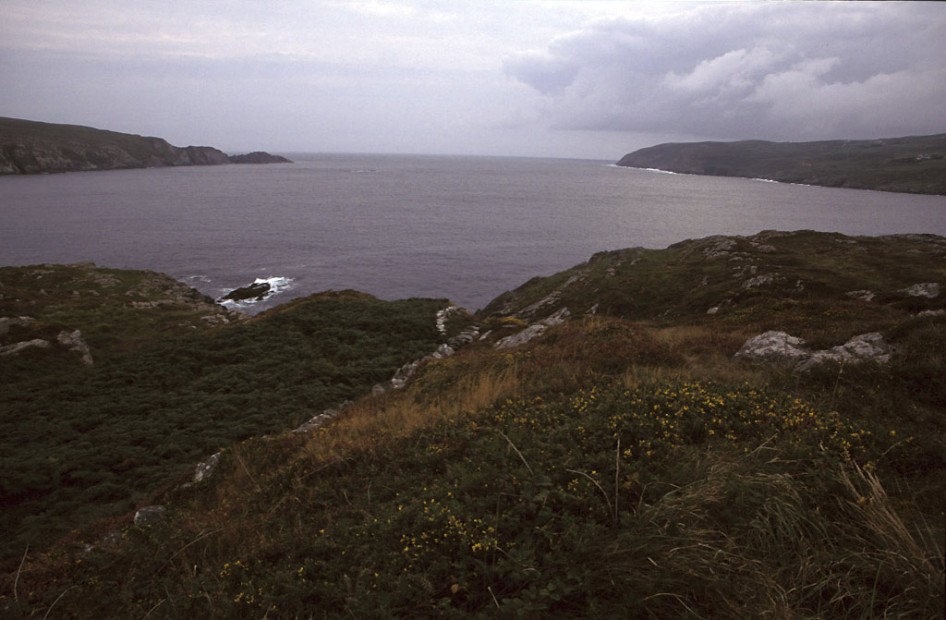 County Cork