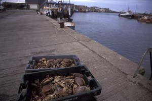 Howth