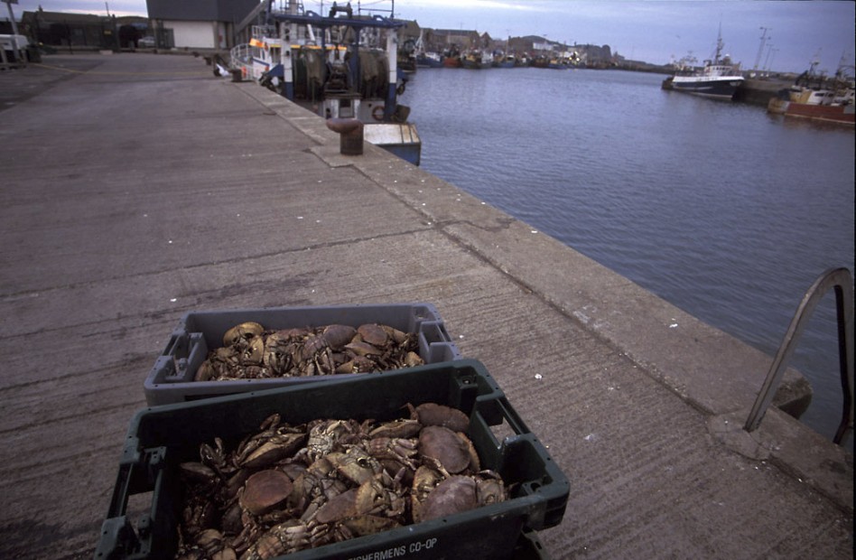 Howth