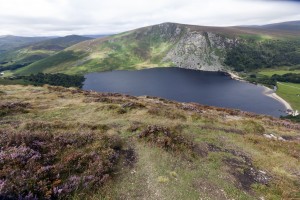 Wicklow Mountains NP I